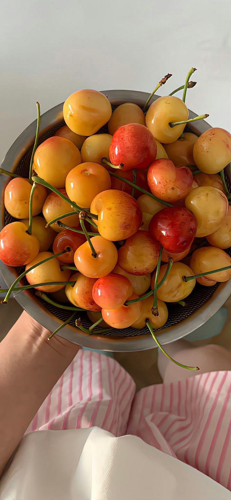 Sun-Kissed Orchard & Field Selections
