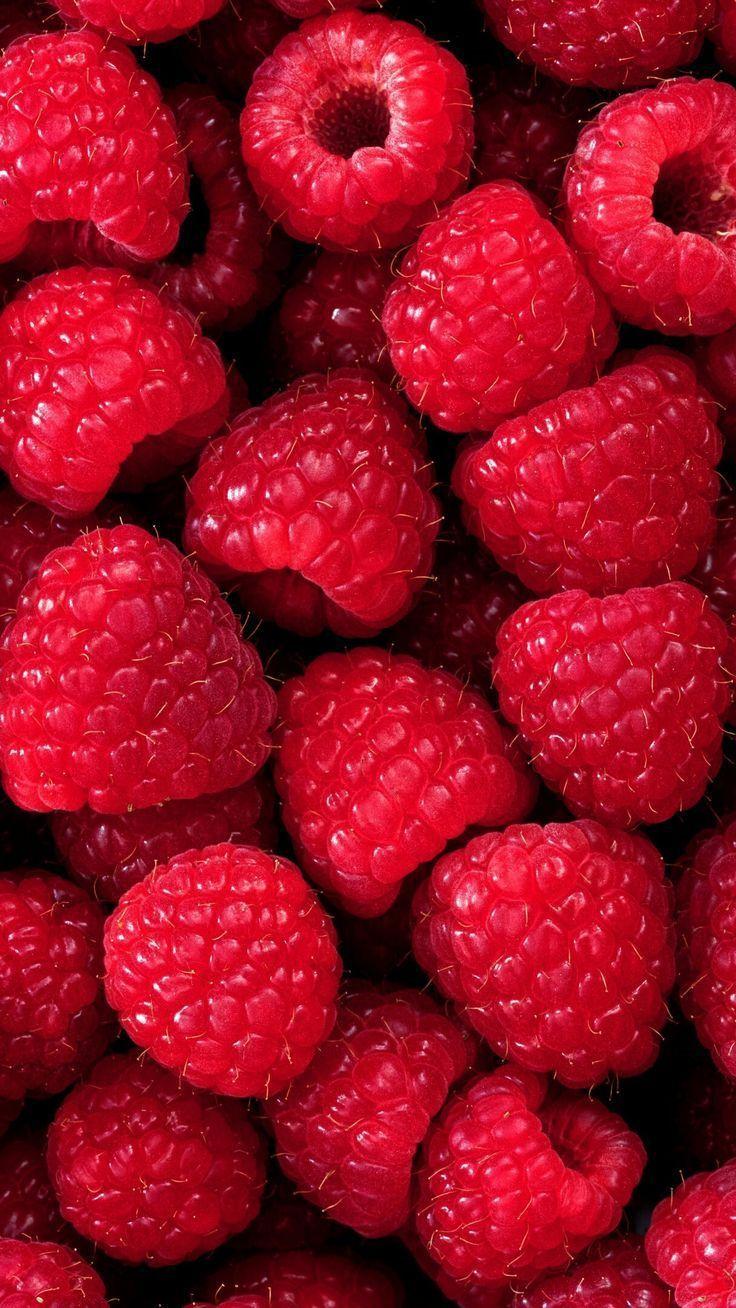 Harvest Bounty Fresh-Picked Delights